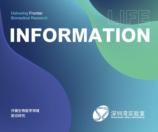 羊肉炒面包裝設計