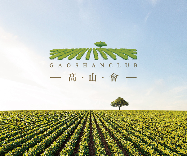 如何評估西安Logo設計公司在文化資源利用方面的成功案例